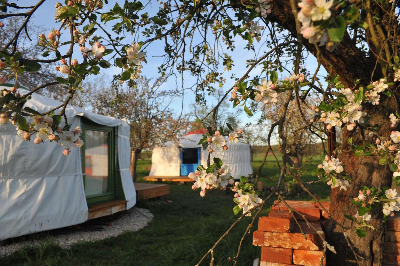 Luxury tent Jurty V Sadu
