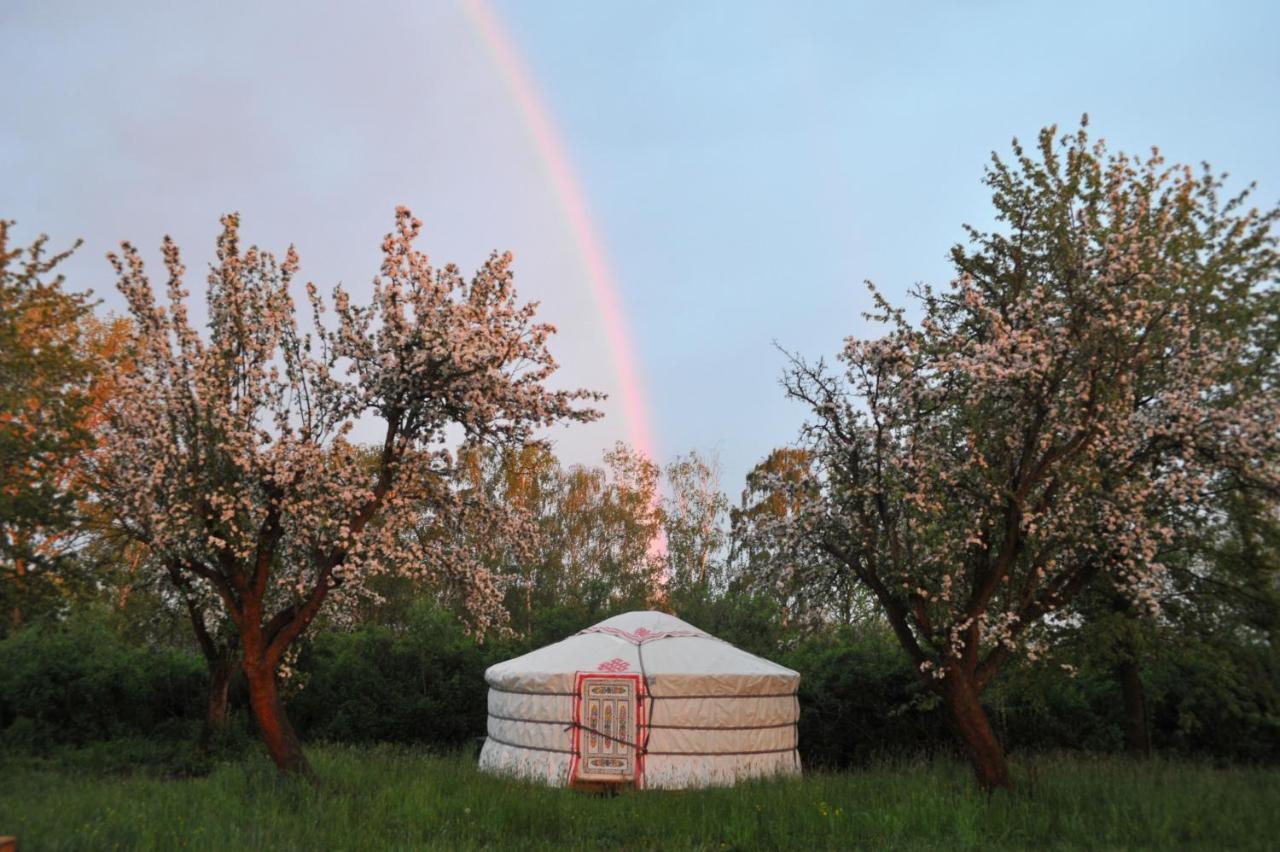 Luxury tent Jurty V Sadu