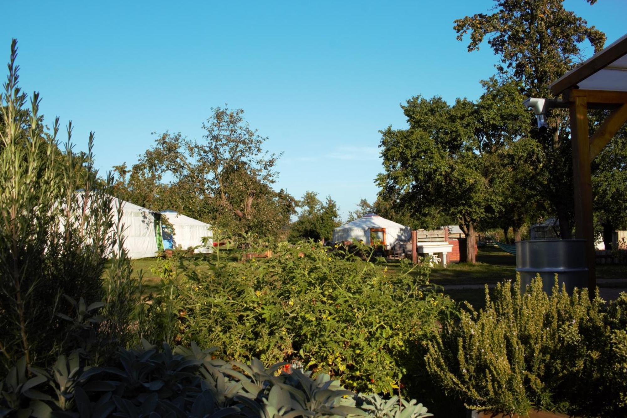Luxury tent Jurty V Sadu